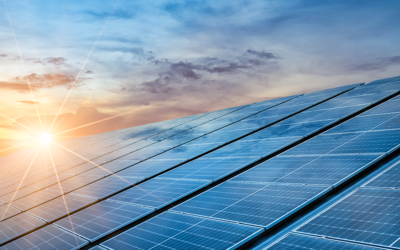 Solar Farms 101: Benefits, Costs, and Controversies