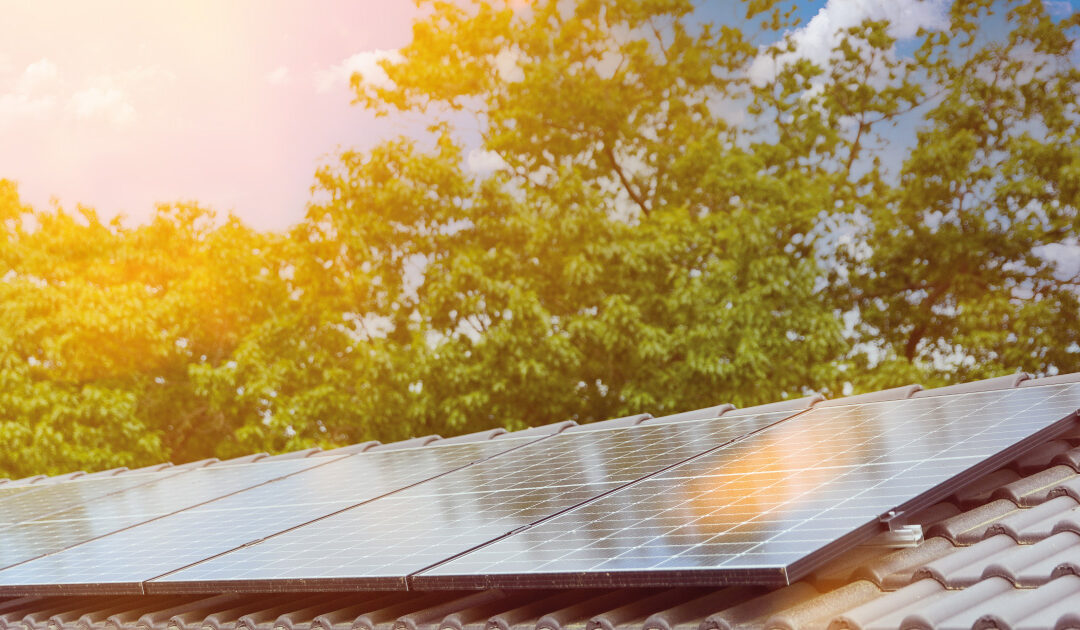 Sunny Days Ahead for the Solar Industry