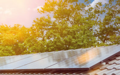 Sunny Days Ahead for the Solar Industry 