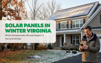 Solar Panels in Winter Virginia: What Homeowners Should Expect in Fall and Winter