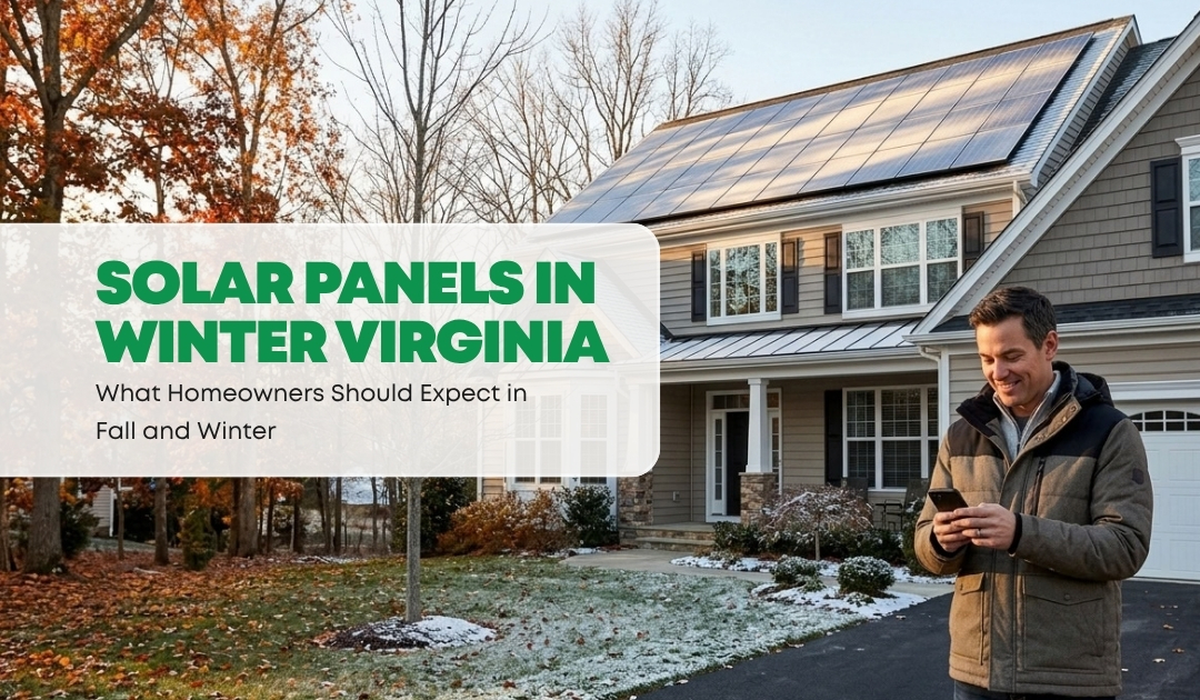 Solar Panels in Winter Virginia: A Clear Month-by-Month Look